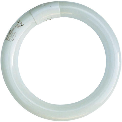 Synergetic Globe - 22W Circline (Standard)