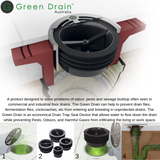 Green Drain